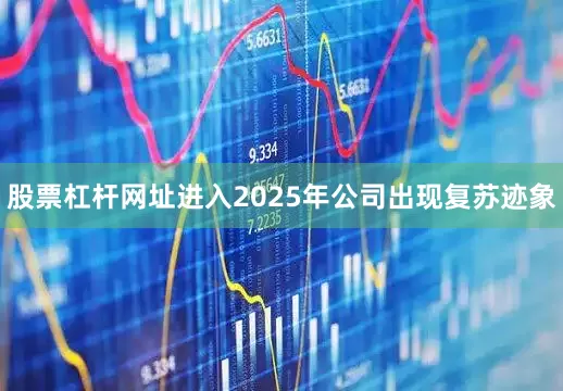 股票杠杆网址进入2025年公司出现复苏迹象