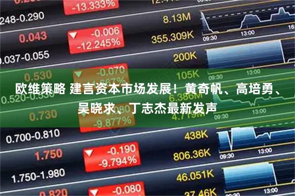 欧维策略 建言资本市场发展！黄奇帆、高培勇、吴晓求、丁志杰最新发声
