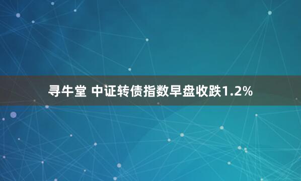 寻牛堂 中证转债指数早盘收跌1.2%